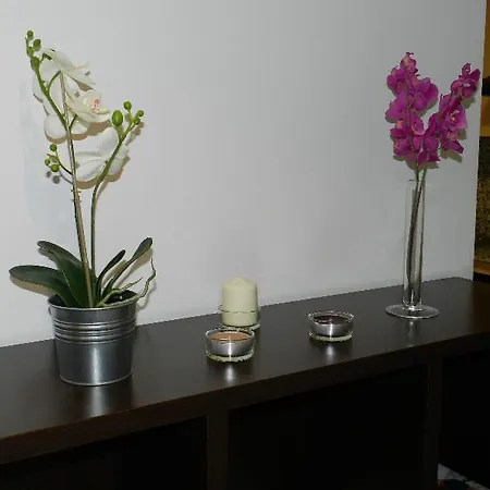 Apartment Travessera Parc Gueell